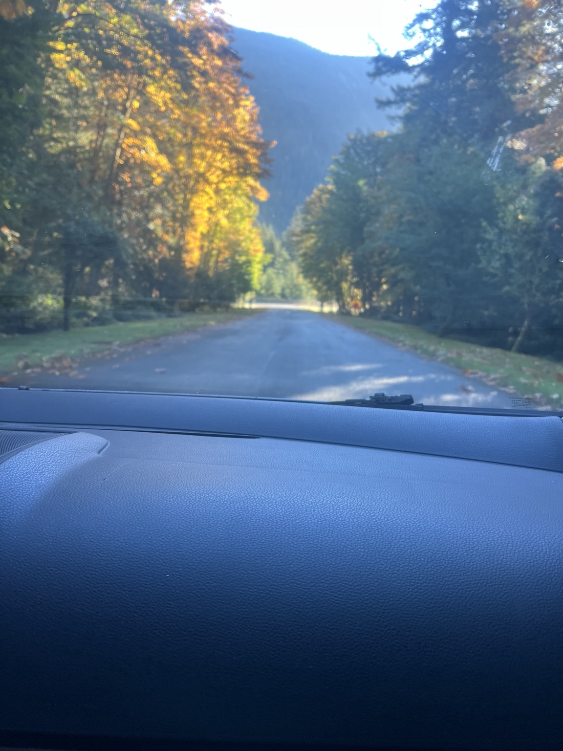 A tree-lined road with autumn colours and a mountain ahead, photographed through a vehicle windshield.